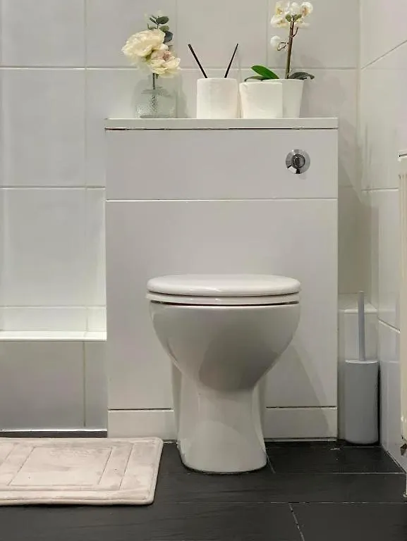 City 2 Bedroom Apartment London Tower Bridge With Free Secure Gated Parking - Perfect For Long Stay 英国